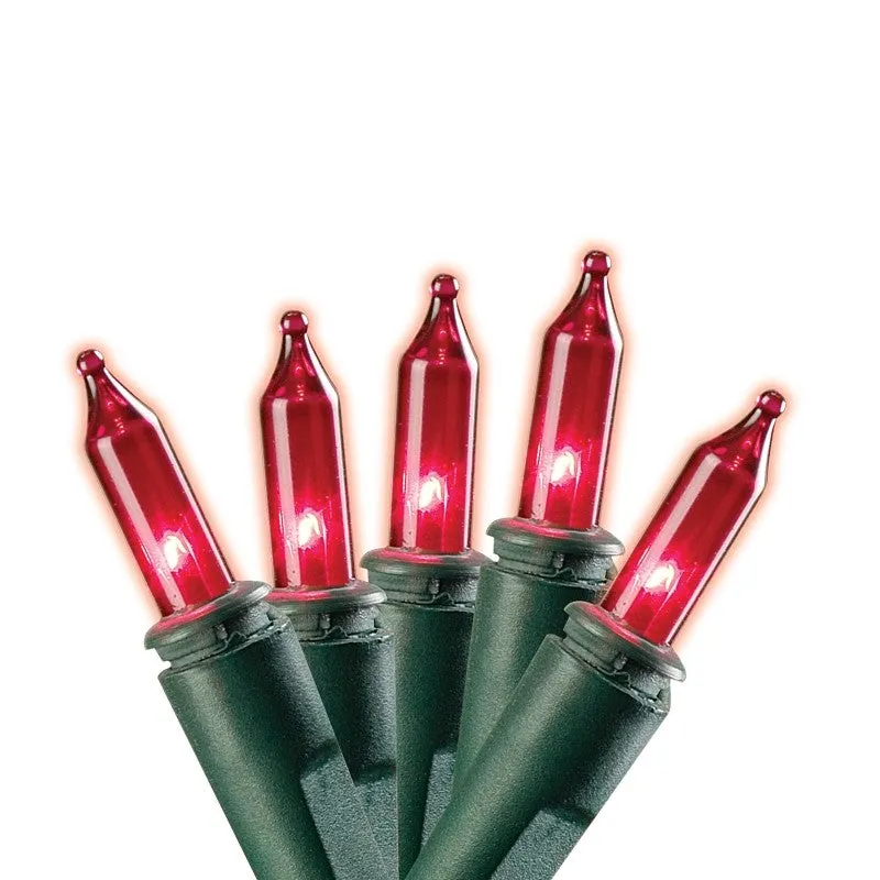 Hometown Holidays 07522 Mini Light Set, 25-Lamp, LED Lamp (Pack of 24)
