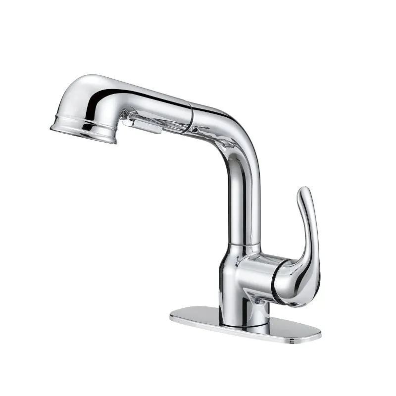PULL-OUT LNDRY FAUCET 1H CHRM